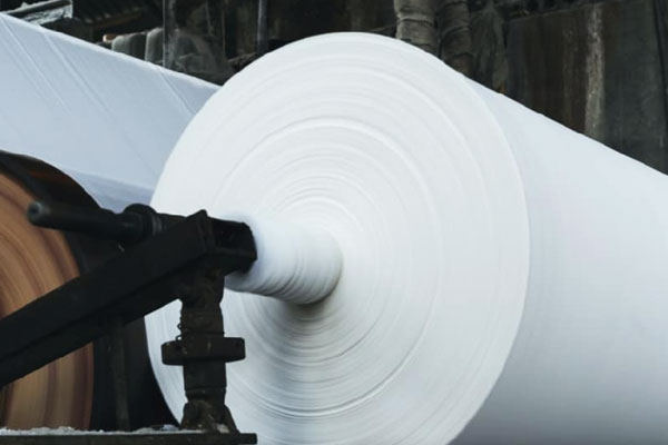 Photo of paper and pulp